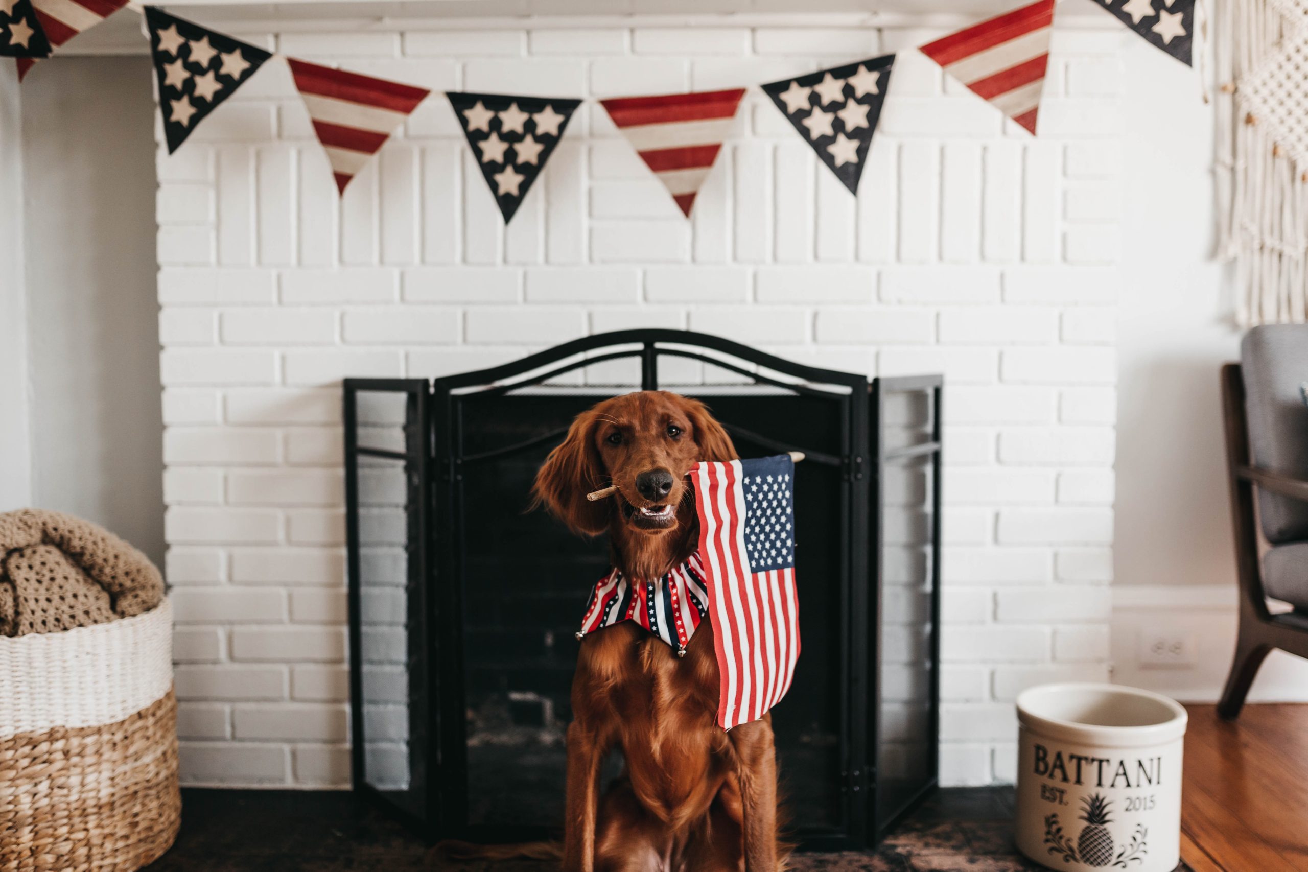 10 Fun Facts About the Fourth of July