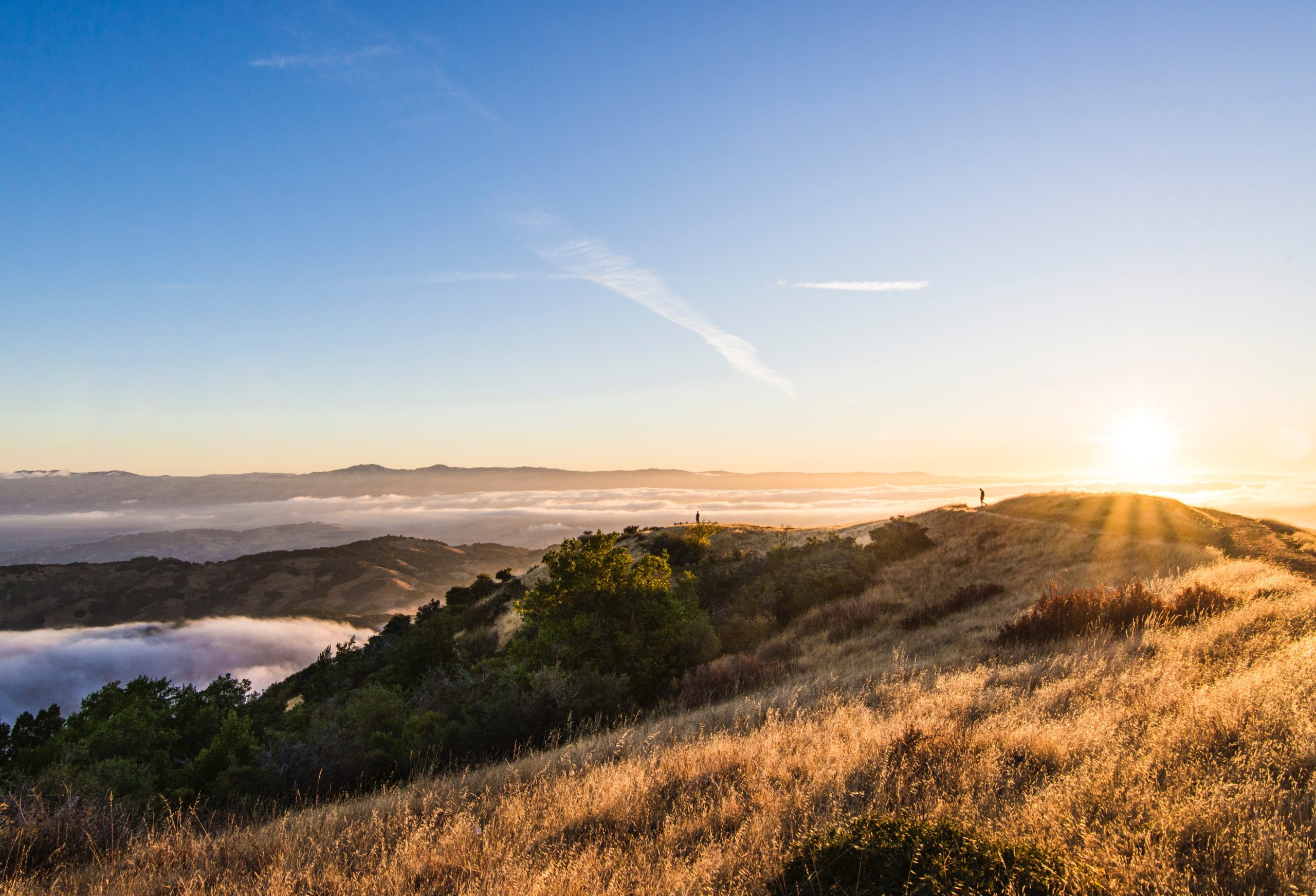 Safe Ways to Enjoy the Start of Summer